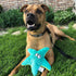 SmartPetLove Tender-Tuffs Easy Grab Small Squeaky Soft Plush Starfish Dog Toy for Puppies and Adult Dogs