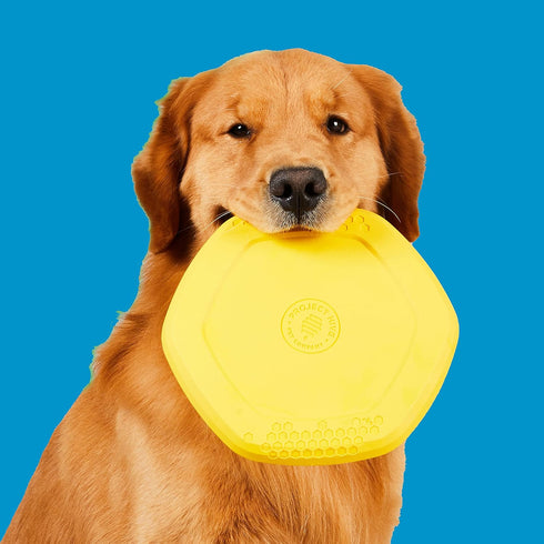 Hive Frisbee for Dogs - Dog Disc for Fetch - Floats in Water - Includes Lick Mat on Back - Made in The USA