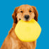 Hive Frisbee for Dogs - Dog Disc for Fetch - Floats in Water - Includes Lick Mat on Back - Made in The USA