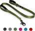 TwoEar 5FT 1IN Strong Green Dog Leash, 2 Padded Handles, Traffic Handle for Extra Control, Reflective Lead for All Dogs