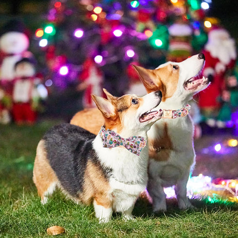 Elegant little tail Christmas Dog Collar, Gingerbread Man Print Holiday Bow Collar for Large Dogs
