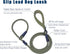 Slip Lead Dog Leash, 6ft - Strong Nylon Rope, Anti-Choking, Anti-Pull for Small Medium Large Dogs (Army Green)