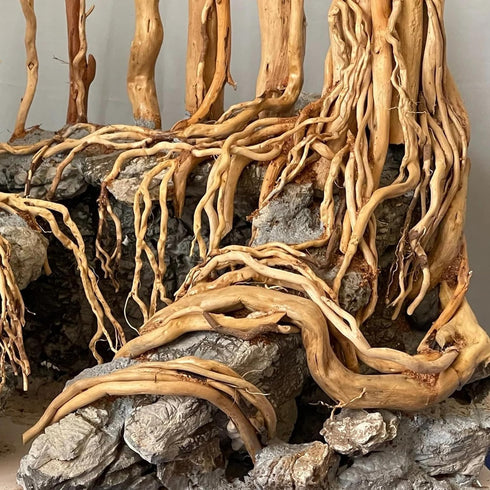 Natural Red Moor Driftwood Mix for Aquarium Decorations, 150 g Moss Ball for Terrarium Fairy Garden Freshwater Planted