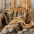 Natural Red Moor Driftwood Mix for Aquarium Decorations, 150 g Moss Ball for Terrarium Fairy Garden Freshwater Planted
