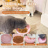 Cat Food Bowl Whisker Friendly, Ceramic Raised Bowl for Indoor Cats, Extra Wide Tilted Dish in Pink