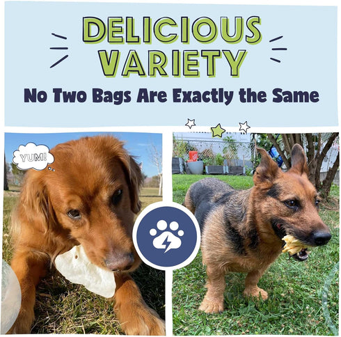 Pawstruck Bizarre Bargain Bag - Assorted Natural Dog Chew Treats - 1 lb - Animal Ears, Jerky, Bones, Hooves, Beef Straps