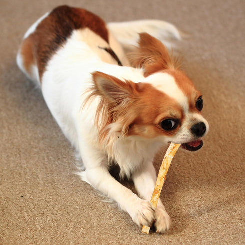 Fieldcrest Farms Nothing to Hide Natural Rawhide Alternative Small Twist Stix for Dogs - 10 Sticks, All Natural Chews