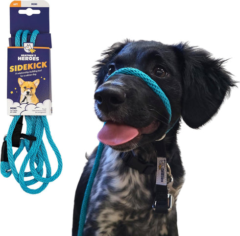 Heather's Heroes Sidekick Dog Headcollar with Leash - Effective Training Tool for Leash Reactivity (Turquoise, Mini
