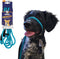 Heather's Heroes Sidekick Dog Headcollar with Leash - Effective Training Tool for Leash Reactivity (Turquoise, Mini