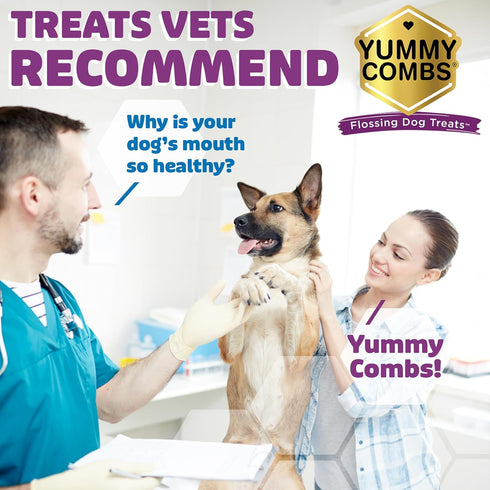 Yummy (24oz, 42 Count) Combs Dog Dental Treats Vet VOHC Approved Delicious Chicken Protein Removes Tartar with Cleaning