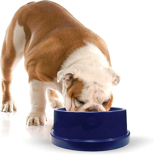 K&H Pet Products Coolin' Pet Bowl, Insulated Ice Cold Dog Bowl, 96 Ounces, Cooler Blue