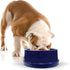 K&H Pet Products Coolin' Pet Bowl, Insulated Ice Cold Dog Bowl, 96 Ounces, Cooler Blue
