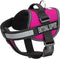 Dogline Vest Harness for Dogs, Pink, X-Small (15 to 19"), with 2 Removable Emotional Support Patches