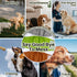 5 Pack Pet Soft Dog Diapers Male, Male Dog Belly Bands, High Absorbing Washable Males Dog Wraps for Doggie