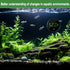 1 2pack Aquarium Thermometer Digital Fish Tank Thermometer Led Display Fish Tank Temperature Gauge Accurate Thermometer