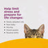 Comfort Zone Cat Calming Diffuser Refills, 30-Day Pheromones for Cat Anxiety Relief
