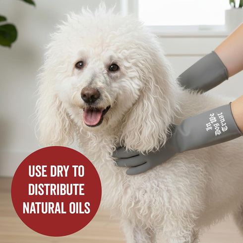 Pride and Groom DogDays Curly + Wavy The Scrub Kit - Natural Dog Shampoo with Silicone Scrubber Gloves for Low