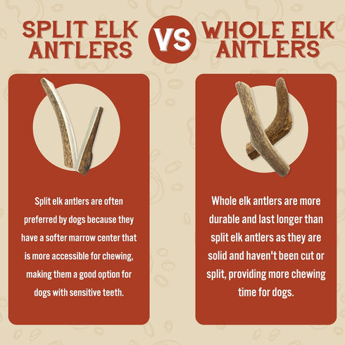 Heartland Elk Antlers for Dogs - Grade A Naturally Shed Antlers | Chew Toy for Aggressive Chewers & Teething Puppies
