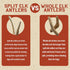 Heartland Elk Antlers for Dogs - Grade A Naturally Shed Antlers | Chew Toy for Aggressive Chewers & Teething Puppies