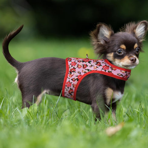 Mile High Life Velcro Dog Harness, Air Mesh Floral Vest for Small Dogs & Cats, Adjustable Easy Closures (Peony Rose, S)