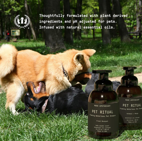 Muse Apothecary Waterless Dog Shampoo Foam, Lavender Fields, 11.5oz for Large Dogs