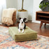 South Pine Porch Buddy Rectangle Pillow Style Dog Bed, Extra Small, Moss, 24" x 18"