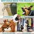 WONDAY Nylon Dog Muzzle for Small Medium Large Dogs, Breathable Lightweight Mesh