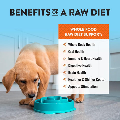 Northwest Naturals Freeze-Dried Chicken & Salmon Dog Food, Grain-Free, High-Protein, 12 Oz