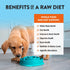 Northwest Naturals Freeze-Dried Chicken & Salmon Dog Food, Grain-Free, High-Protein, 12 Oz