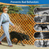 BARKLESS Soft Dog Head Collar, No Pull Training Tool for Small Dogs, Gentle Halter for Heavy Pullers