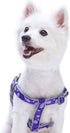 Blueberry Pet 5 Colors Soft Step-in Paisley Flower Print Dog Harness - Adjustable Medium Harness, Chest Girth 20" - 26"