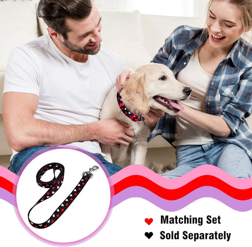 Native Pup Valentine’s Dog Collar, Adjustable for Small, Medium, Large Breeds, White & Red Hearts, Large