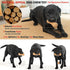 Dog Chew Toys Pine Wood and Nylon, Tough Toys for Aggressive Chewers, Real Bacon Indestructible Toys to Keep Them Busy