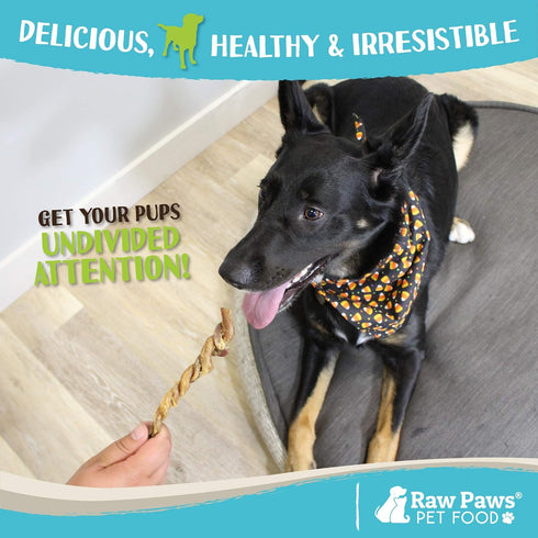 Raw Paws Lamb Pizzle Twists for Dogs - 5-9 inch, 10-ct - USA Packed Natural Lamb Pizzle Sticks