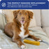 Downtown Pet Supply Yak Cheese Himalayan Dog Chews - Regular Yak Chews Rich in Nutrients for Small to Medium Dogs - 2 LB