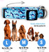Native Pup Cute Animal Dog Collar, Adjustable Size Shark Pattern for Girl or Boy Dogs, Durable Nylon (Large, Sharks)
