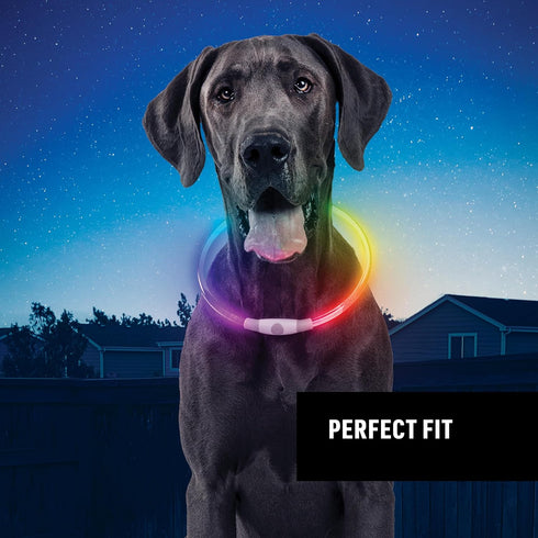 Nite Ize NiteHowl Rechargeable LED Safety Necklace for Dogs, Light Up Dog Necklace with LED Lights