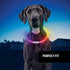Nite Ize NiteHowl Rechargeable LED Safety Necklace for Dogs, Light Up Dog Necklace with LED Lights