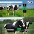 JOINSI 1PCS Livestock Scratching Brush Kit, Cattle and Horse Massage Grooming Brush, Itch Relief for Goat, Sheep