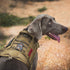 OneTigris Tactical Dog Harness with Handle, No-Pull Service Vest with Hook & Loop Panels (Coyote Brown, X-Large)