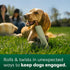 Earth Rated Dog Toy - Enrichment Toy for Adult and Puppy Dogs, Dishwasher Safe, Natural Rubber, Large, Green