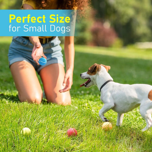 PrimePets Mini 2 Inch Squeaky Tennis Balls for Dogs, Interactive Dog Toy Balls for Indoor Outdoor