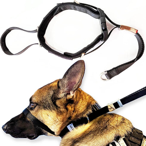 PetsProMax No-Pull Dog Headcollar (Large), Gentle Training Collar for Dogs, Comfortable and Effective Walking Solution