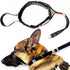 PetsProMax No-Pull Dog Headcollar (Large), Gentle Training Collar for Dogs, Comfortable and Effective Walking Solution