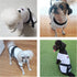 Athletic Costume with Black Belt - Uniform for Dogs Clothes Pullover Sweater Sweatshirts for Boy and Girl (Medium)