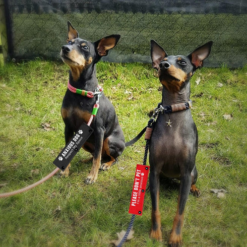 Please Don’t Pet Dog Leash Sleeve 2 Set for Rescue and Anxious Dogs, Includes Red and Black Sleeves