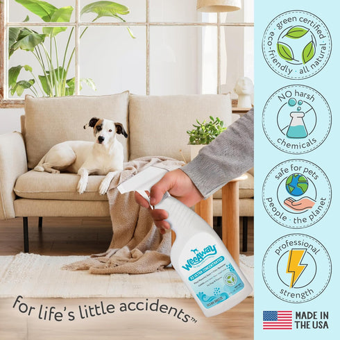 X2 Ultra Concentrated Pet Stain and Odor Remover Spray, Enzyme Cleaner for Dog Urine, 16 oz (Ocean Breeze)