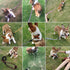 MayPaw Heavy Duty Rope Dog Leash, 3/4/5/6/7/8/10/12/15 FT Nylon Leash with Soft Padded Handle for Dogs
