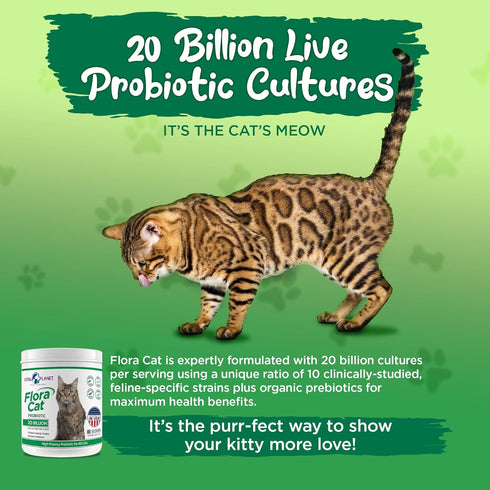 Vital Planet Flora Cat Probiotic Powder Supplement, 20 Billion Cultures, 30 Scoops, 3.92 oz