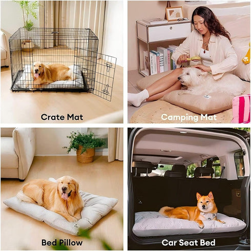 2 1 Mattress,35.4" 22.8", FUNNY FUZZY in Dog Bed Crate Pad Mat, Washable Reversible Pet Floor Mats,Fluffy Kennel Pad